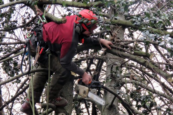 ChainsawSafety